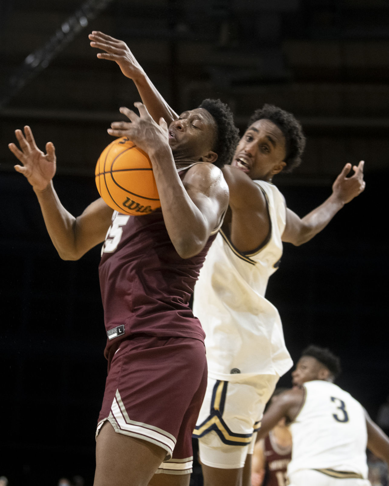Brawl of the Wild basketball 36.JPG